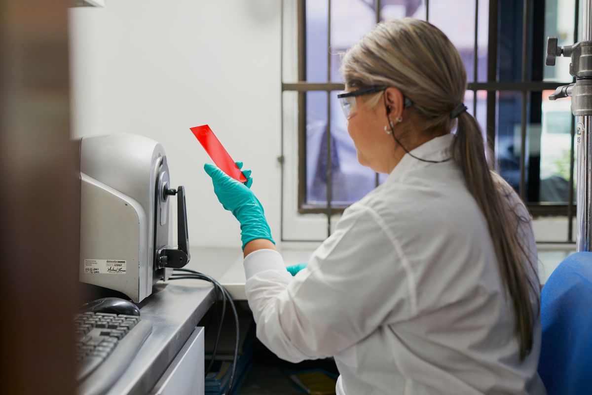 GRICOAT — momento 12